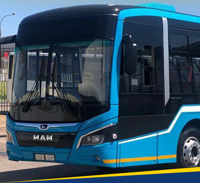bus